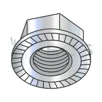 Serrated, Class 8 Zinc